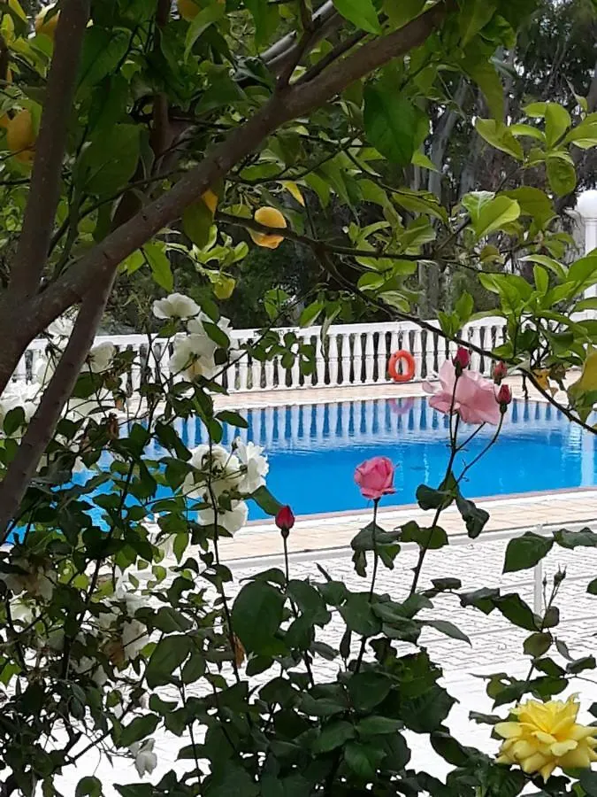 Kefallonia Bay Resort Spartia